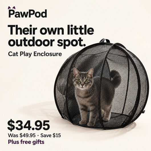 PawPod Cat Play Enclosure