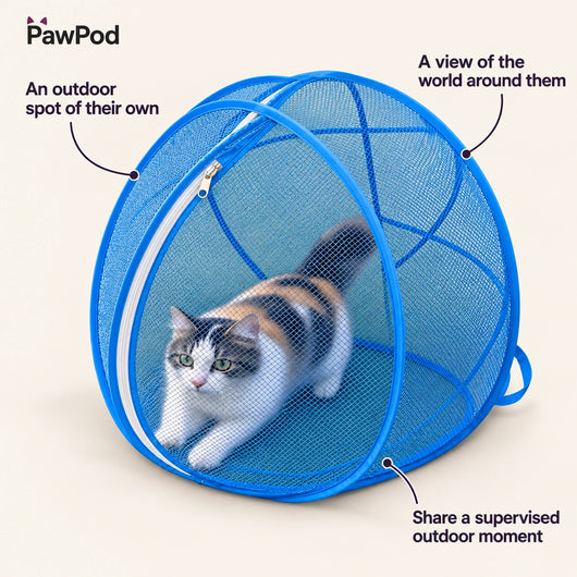 PawPod Cat Play Enclosure