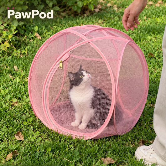PawPod Cat Play Enclosure