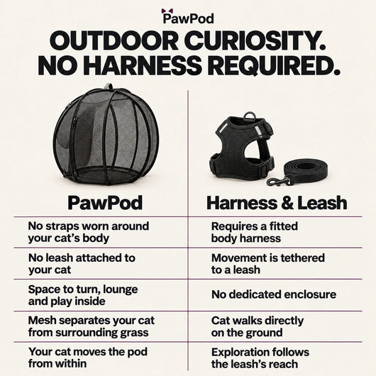PawPod Cat Play Enclosure