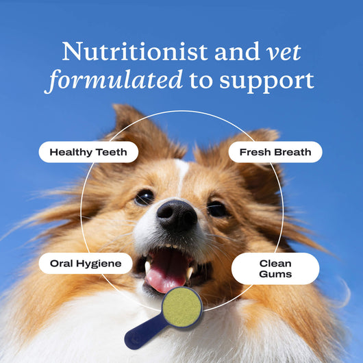 Pet Dental Powder