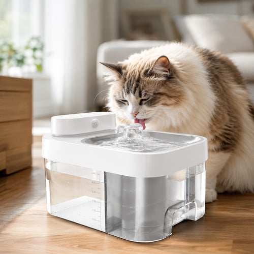 No-Filter Smart Water Fountain