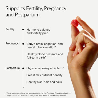 Prenatal Multivitamin Gummy | 90 Tasty, High-Dose Gummies
