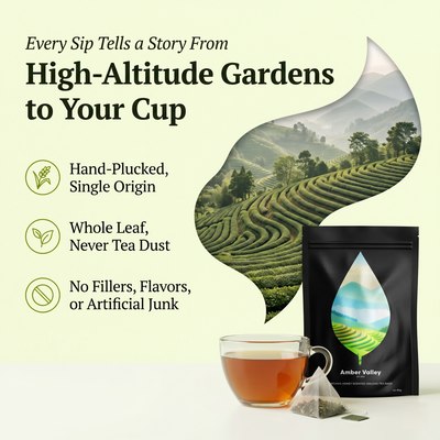Amber Valley Oolong Tea