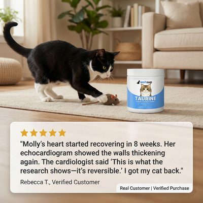 Wahsup Kitty Taurine