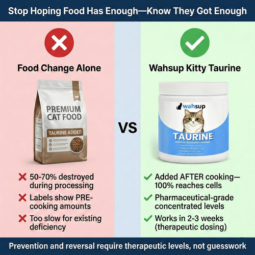 Wahsup Kitty Taurine