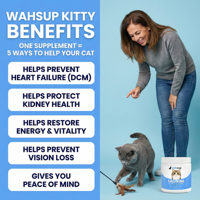 Wahsup Kitty Taurine