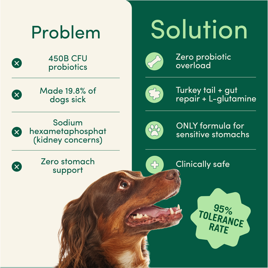 Pet Dental Powder
